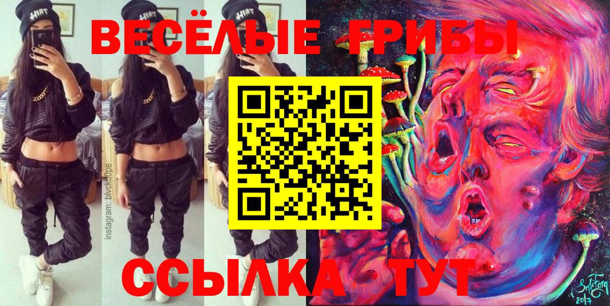 Крымск  Псилоцибиновые грибы GOLDEN TEACHER  закладки  Вход с VPN 